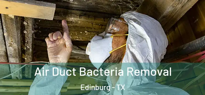 Air Duct Bacteria Removal Edinburg - TX