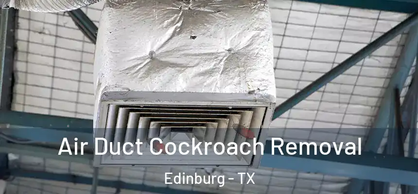 Air Duct Cockroach Removal Edinburg - TX
