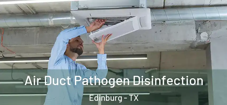 Air Duct Pathogen Disinfection Edinburg - TX