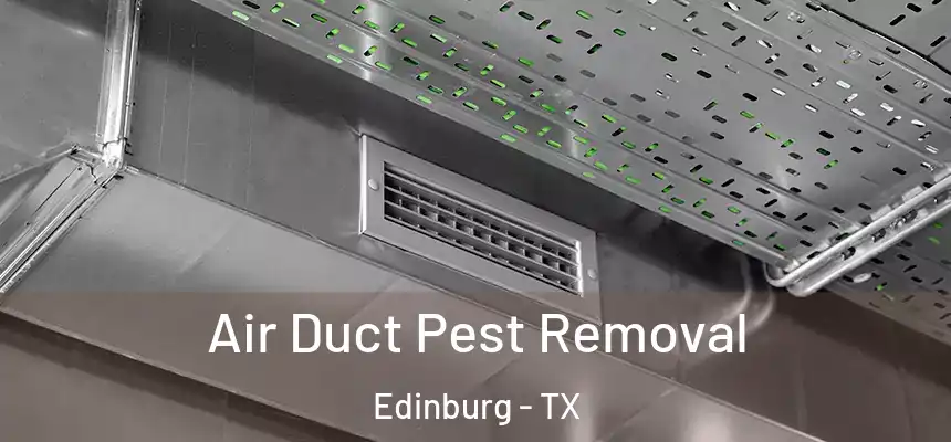 Air Duct Pest Removal Edinburg - TX