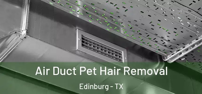 Air Duct Pet Hair Removal Edinburg - TX