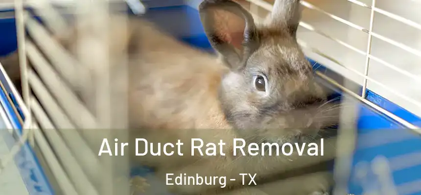 Air Duct Rat Removal Edinburg - TX
