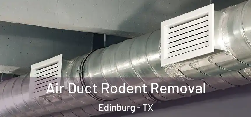 Air Duct Rodent Removal Edinburg - TX