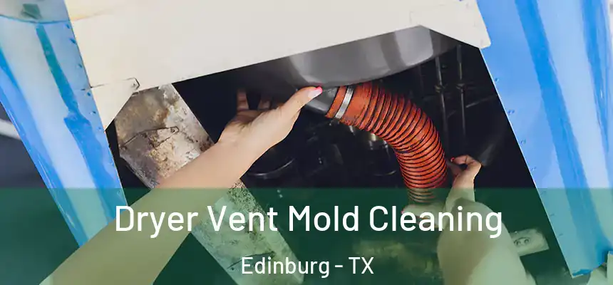  Dryer Vent Mold Cleaning Edinburg - TX