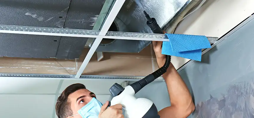 Our Air Duct Rodent Removal Services in Edinburg, TX