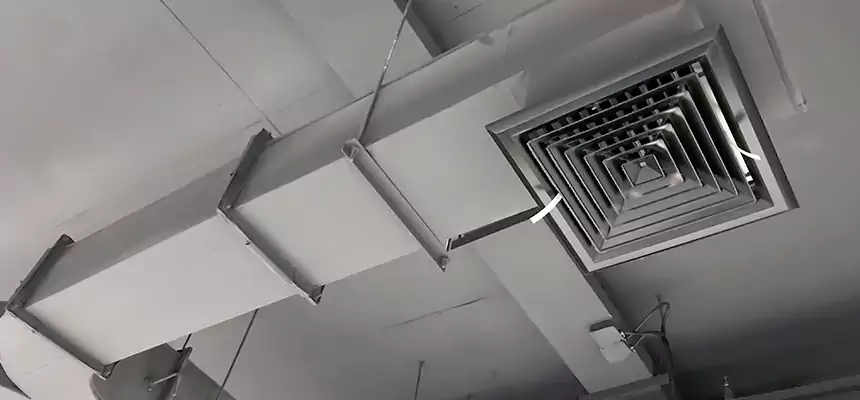 Restorative Allergy Relief Vent Cleaning – Coil, Blower & Housing Detail in Edinburg