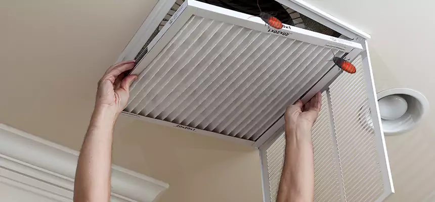 Our Insect Removal from Air Ducts Services in Edinburg, TX