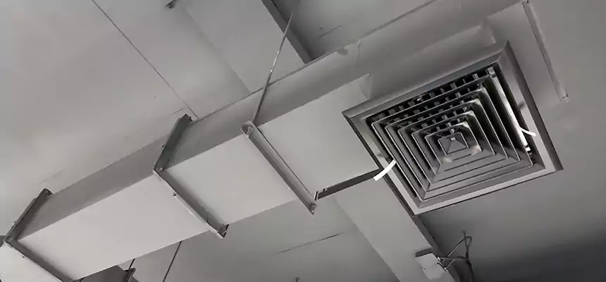 Our Rodent Droppings In Vents Services in Edinburg, TX