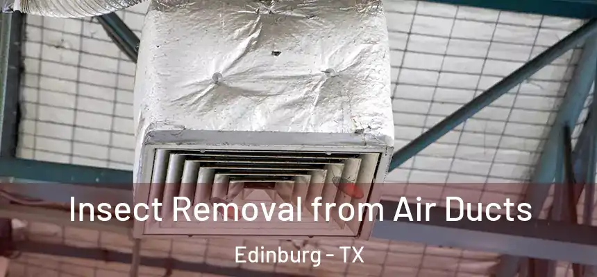 Insect Removal from Air Ducts Edinburg - TX