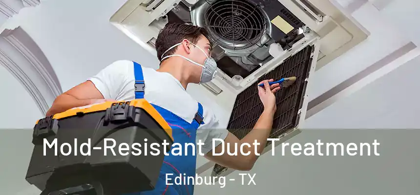 Mold-Resistant Duct Treatment Edinburg - TX