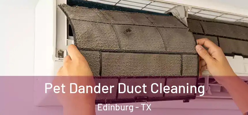 Pet Dander Duct Cleaning Edinburg - TX