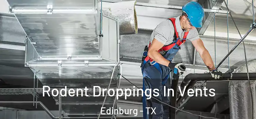 Rodent Droppings In Vents Edinburg - TX