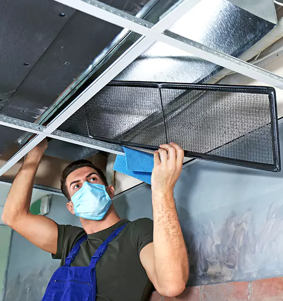 About Air Duct Bacteria Removal in Edinburg