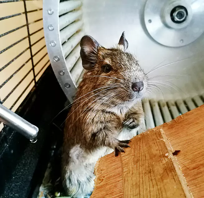 Why Homeowners & Businesses Trust Us Edinburg, TX