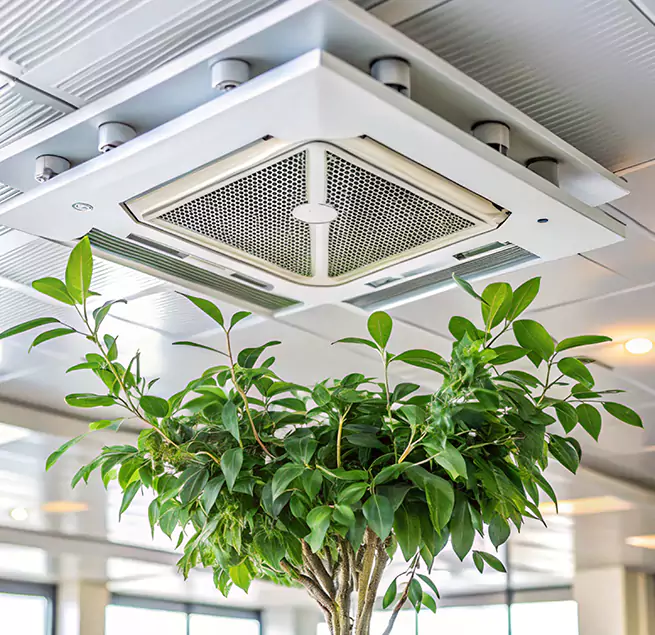 Why Homeowners & Businesses Trust Us in Edinburg, TX?