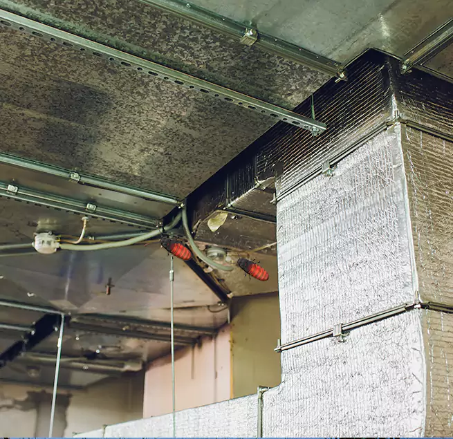 Why Homeowners & Businesses Trust Us Edinburg, TX?