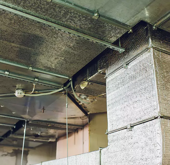 Why Homeowners & Businesses Trust Us in Edinburg, TX?